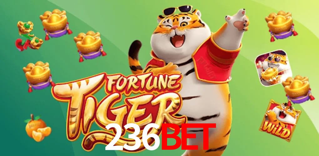 Security Systems 236BET