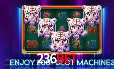 236BET: A Experiência de Casino com Jogos de Mesa ao Vivo